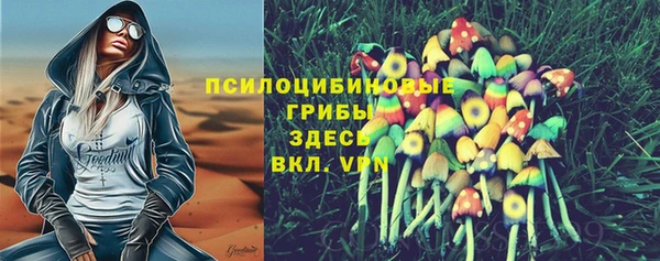 бошки Баксан