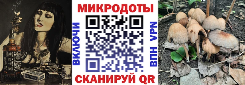 Купить где  Старый Крым  Псилоцибиновые грибы GOLDEN TEACHER 